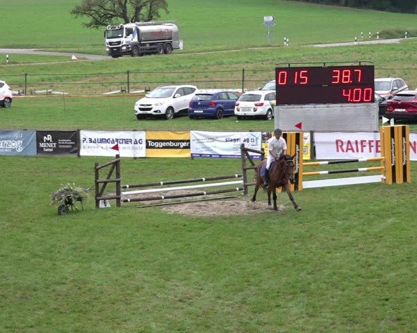 Reitturnier Aadorf 2024