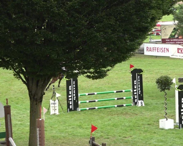 Reitturnier Aadorf 2024