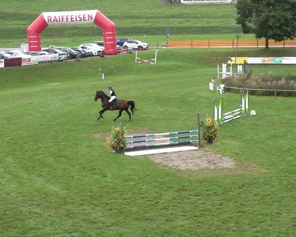 Reitturnier Aadorf 2024