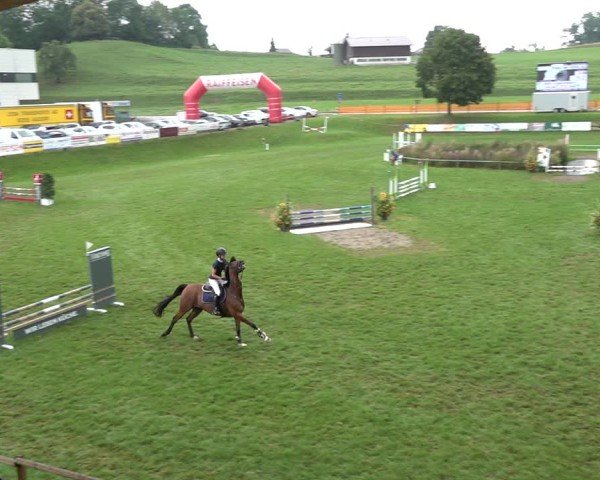 Reitturnier Aadorf 2024