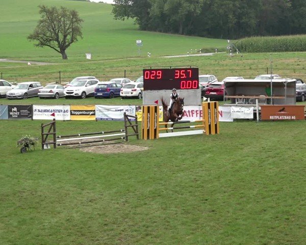 Reitturnier Aadorf 2024
