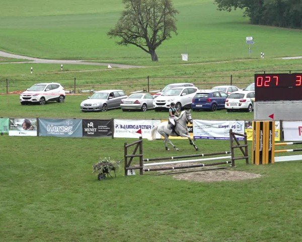 Reitturnier Aadorf 2024