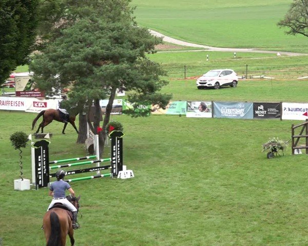 Reitturnier Aadorf 2024