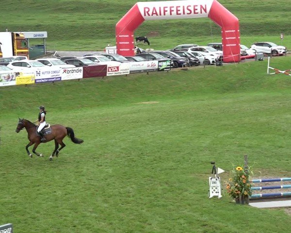 Reitturnier Aadorf 2024