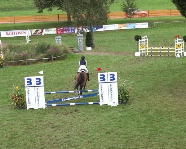 Reitturnier Aadorf 2024