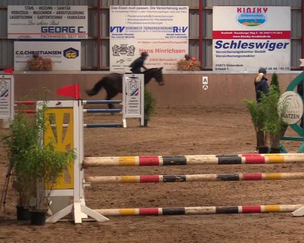Reitturnier Behrendorf 2021