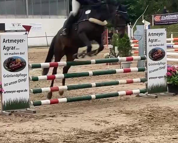 Video von Petite La Fleur
