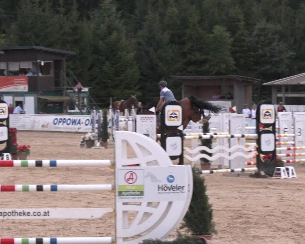 Reitturnier Ranshofen - Braunau am Inn 2024