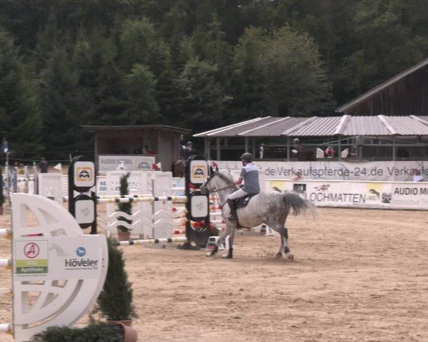 Reitturnier Ranshofen - Braunau am Inn 2024