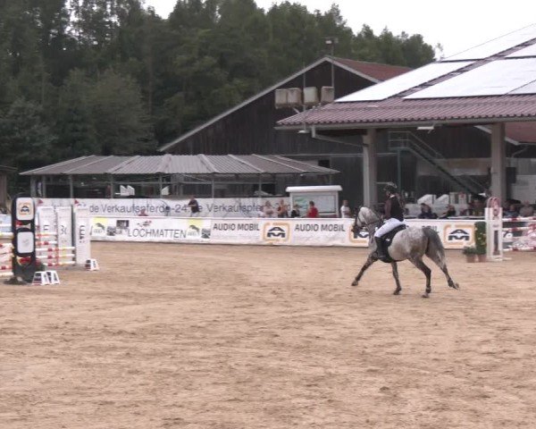 Reitturnier Ranshofen - Braunau am Inn 2024