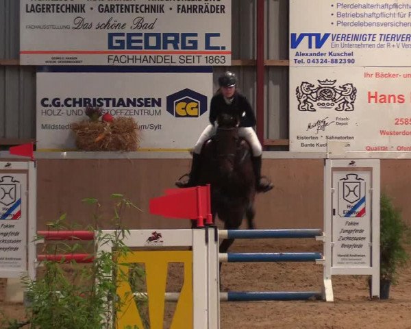 Reitturnier Behrendorf 2021