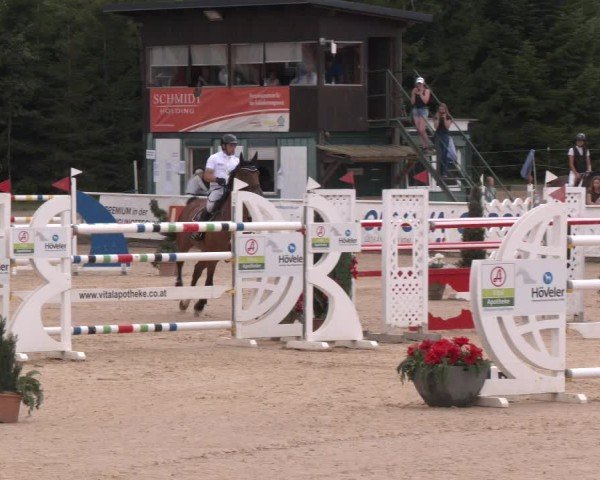 Reitturnier Ranshofen - Braunau am Inn 2024