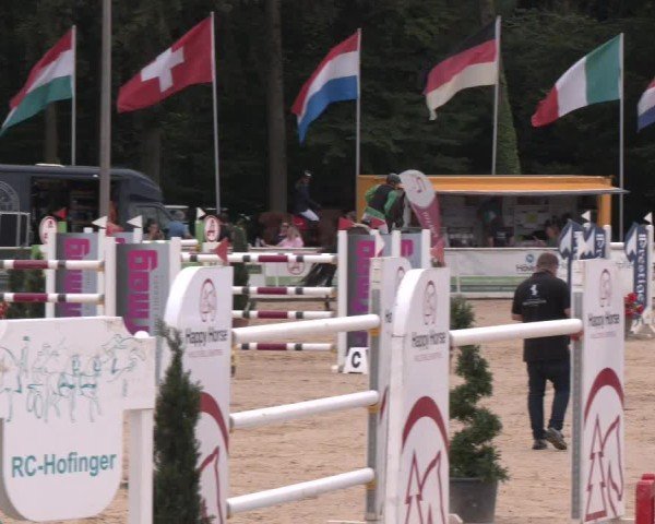 Reitturnier Ranshofen - Braunau am Inn 2024
