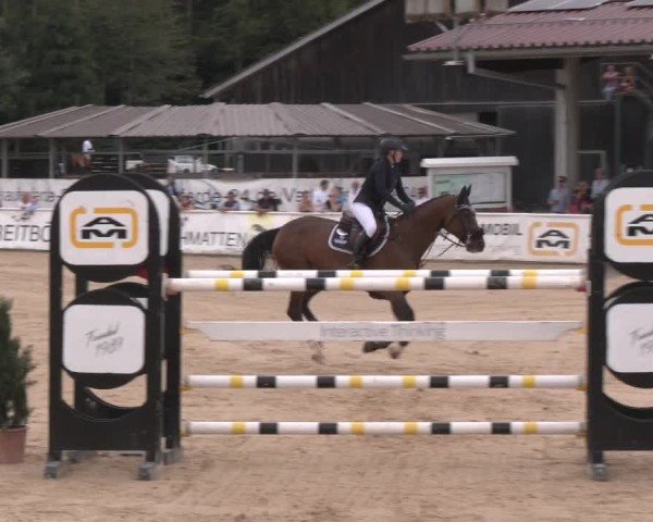 Reitturnier Ranshofen - Braunau am Inn 2024
