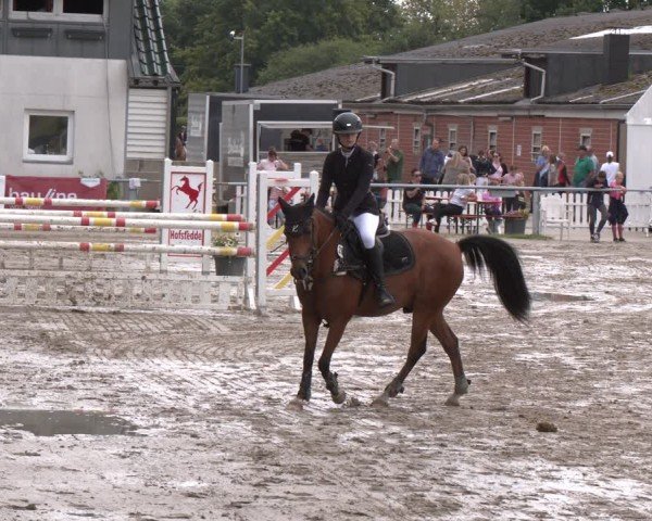 Reitturnier Datteln 2024