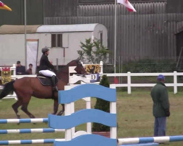 Reitturnier Düren 2013
