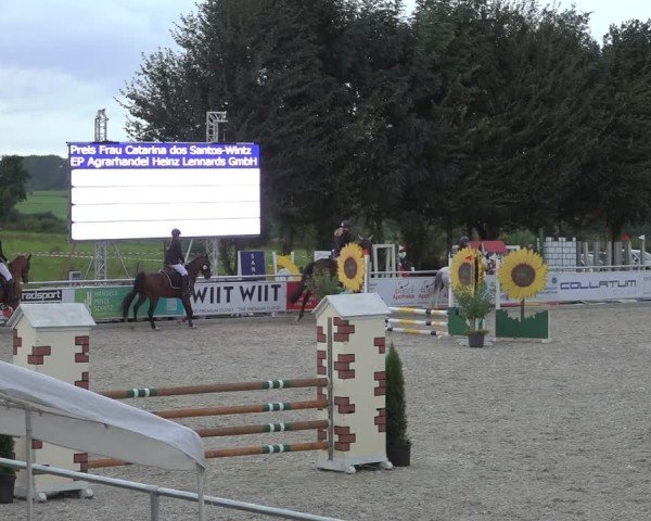 Reitturnier Stolberg-Büsbach 2024