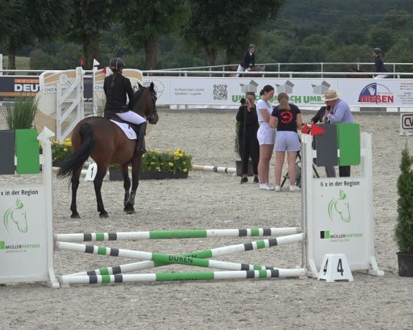 Reitturnier Stolberg-Büsbach 2024