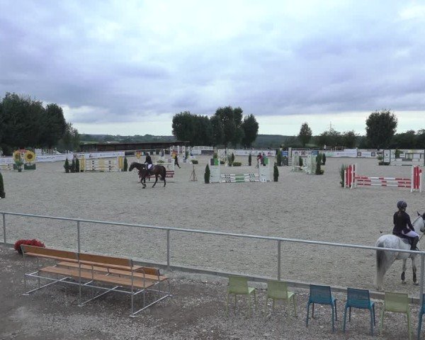 Reitturnier Stolberg-Büsbach 2024