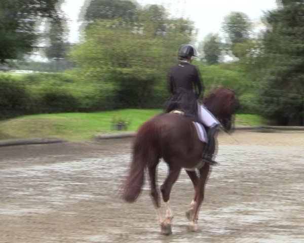 Reitturnier Datteln 2024