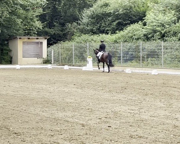 Video von Eliza D