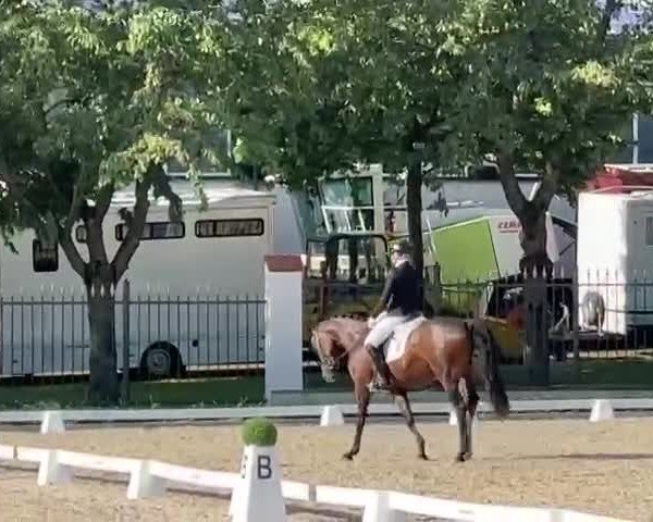 Video von Eliza D