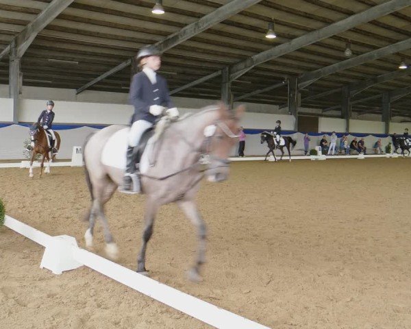 Reitturnier Münster-Albachten 2024