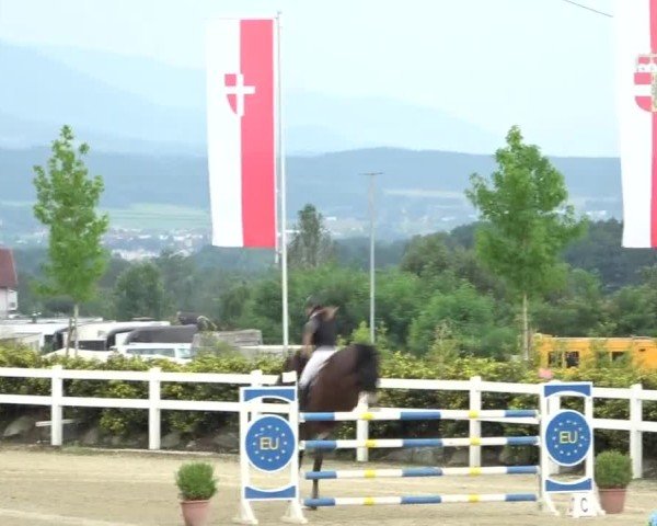 Reitturnier St. Margarethen 2024