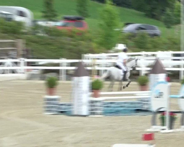 Reitturnier St. Margarethen 2024