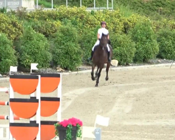 Reitturnier St. Margarethen 2024