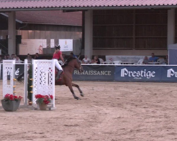 Reitturnier Ranshofen - Braunau am Inn 2024