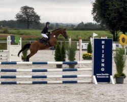 Springpferd Gironetje (KWPN (Niederländisches Warmblut), 2011, von Lanciano)