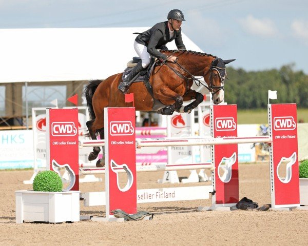 horse Baccara K.S.H (Estonian Sport, 2019, from Balou du Rouet)