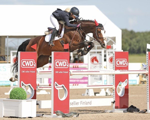horse Tracey-K van Kattenheye (Belgian Warmblood, 2019, from VDL Harley)