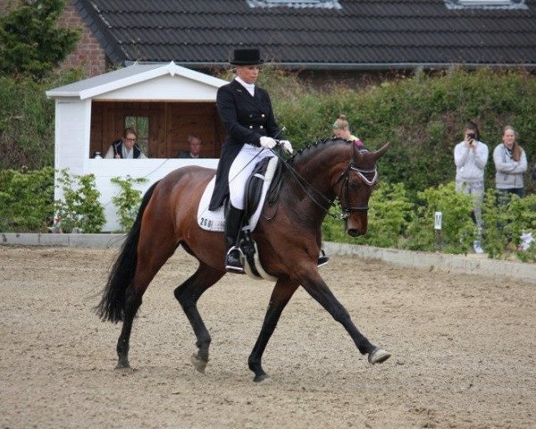 broodmare djamila 19 (Saxony-Anhaltiner, 2001, from Del Piero)