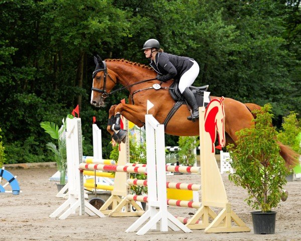 jumper Leyla (Holsteiner, 2018, from Uriko)
