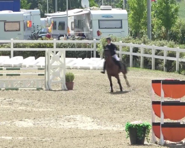 Reitturnier St. Margarethen 2024