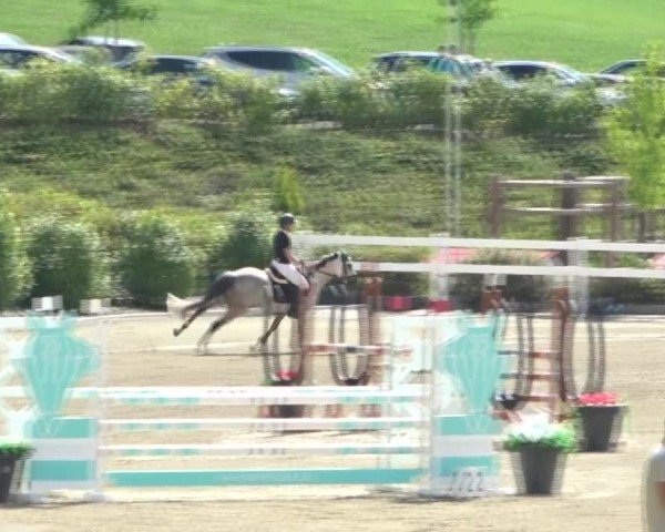 Reitturnier St. Margarethen 2024