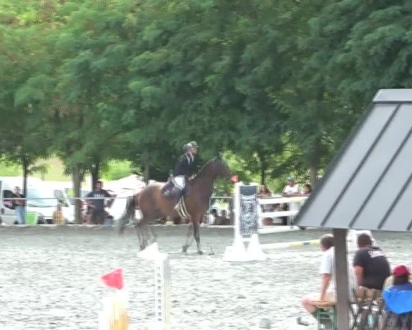 Reitturnier Horitschon 2024