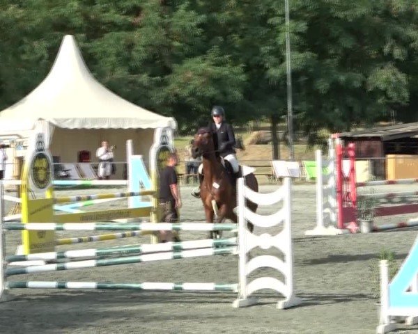 Reitturnier Horitschon 2024