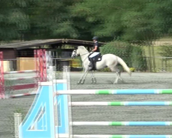 Reitturnier Horitschon 2024