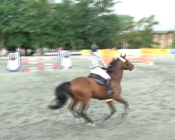 Reitturnier Horitschon 2024