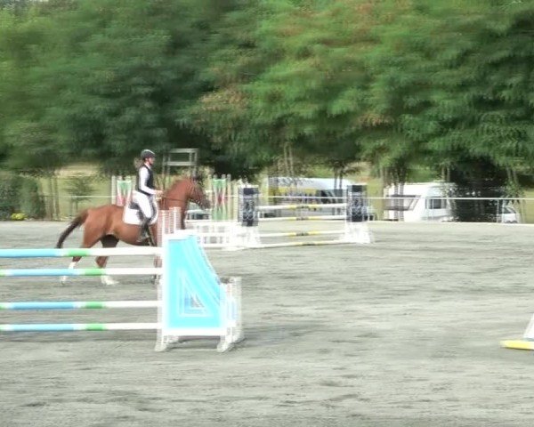Reitturnier Horitschon 2024
