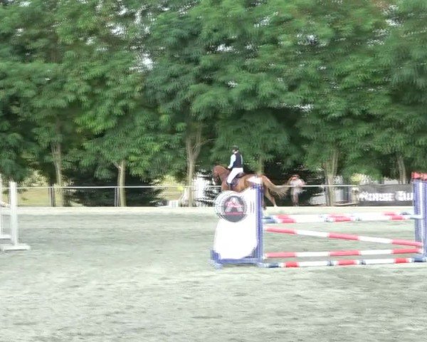 Reitturnier Horitschon 2024