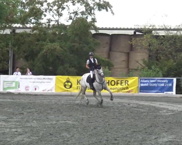 Reitturnier Horitschon 2024