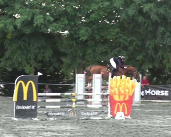 Reitturnier Horitschon 2024