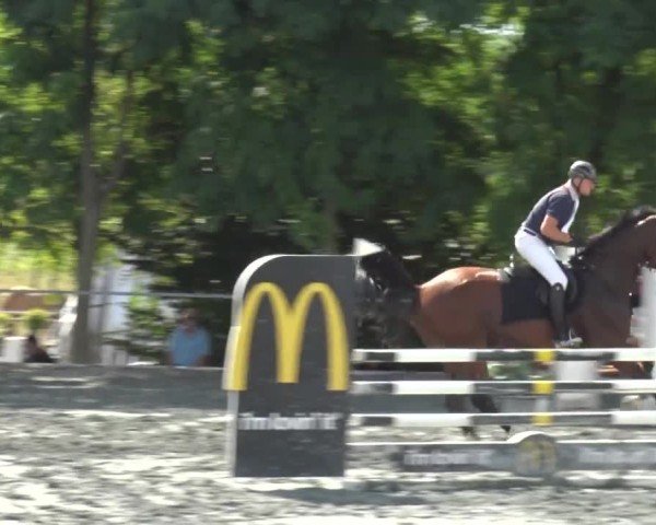 Reitturnier Horitschon 2024