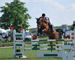 Springpferd Cadeau 50 (Tschechisches Warmblut, 2007, von Puschkin)