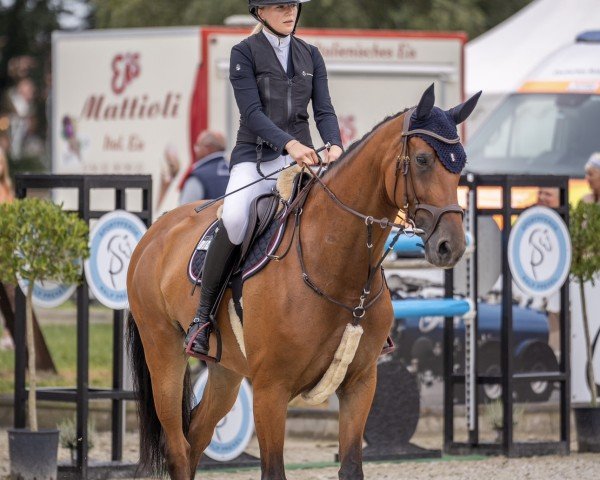broodmare Louda (KWPN (Royal Dutch Sporthorse), 2016, from Alexandro P)