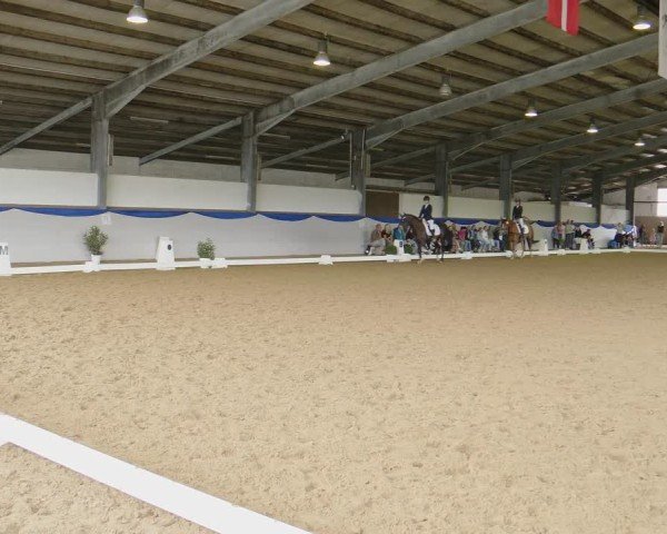 Reitturnier Münster-Albachten 2024